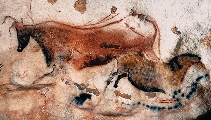 Lascaux Cave Art Images