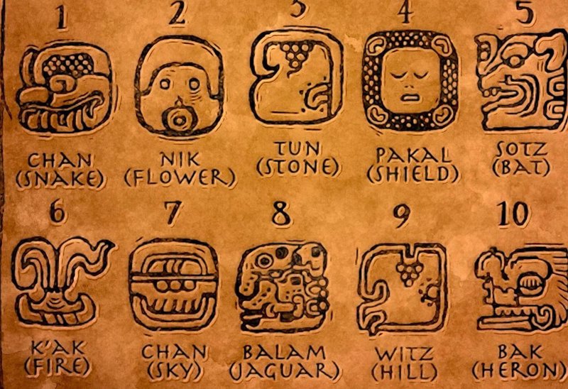 Mayan Glyphs For Royal Lineage