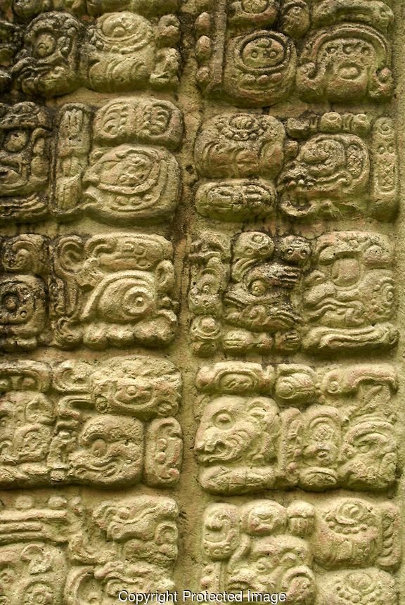 Mayan Glyphs For Royal Lineage