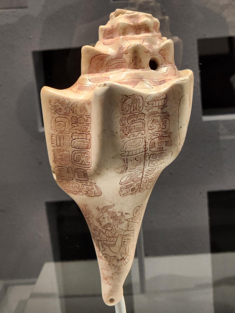 Mesoamerican Shell Trumpet Artifacts<span class=