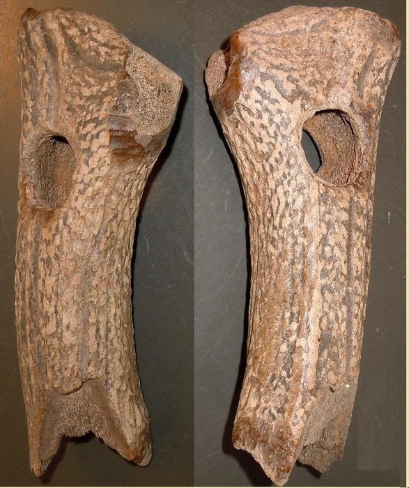 Mesolithic Antler Harpoons