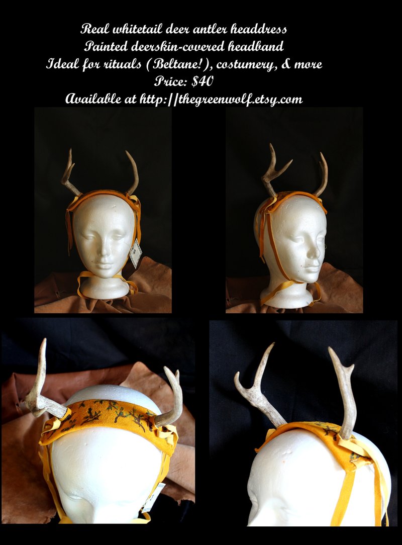 Mesolithic Deer Antler Headdress