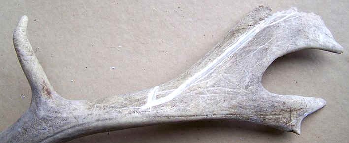 Mesolithic Fishing Tools In Northern Europe