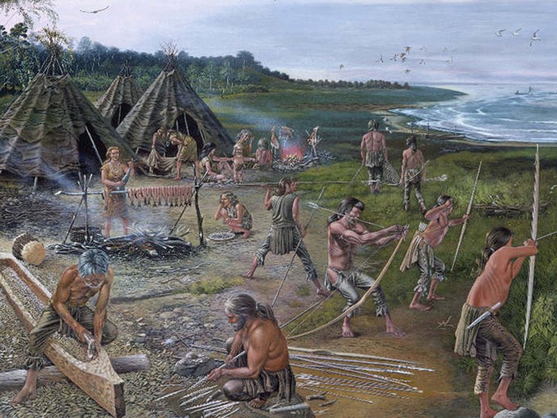 Mesolithic Fishing Tools In Northern Europe