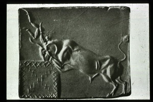Minoan Seal Stones With Bull Motifs<span class=
