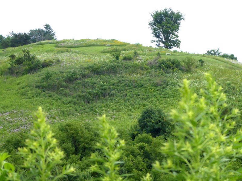 Native American Effigy Mounds