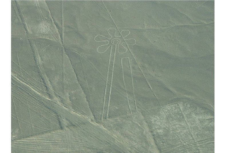 Nazca Lines Drone Photography