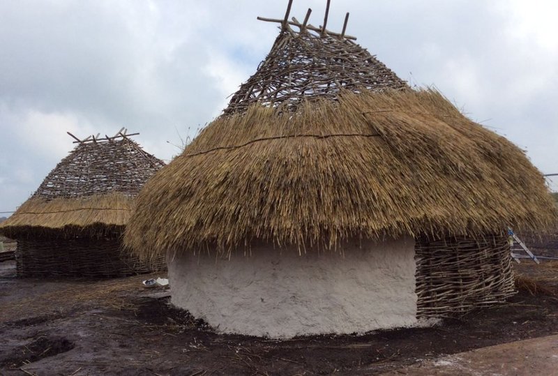 Neolithic Wattle And Daub House Reconstruction