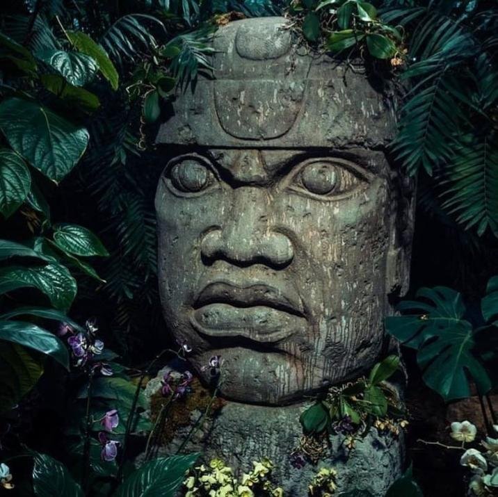 Olmec Colossal Head Carvings