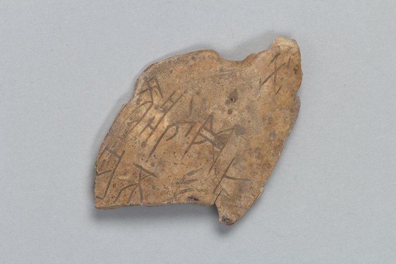 Oracle Bones From Shang Dynasty