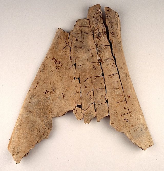 Oracle Bones From Shang Dynasty<span class=