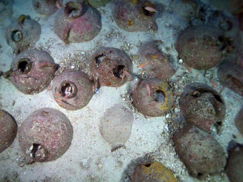 Phoenician Shipwreck Artifacts