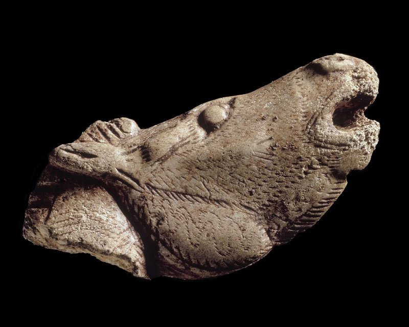 Prehistoric Antler Carving From Magdalenian Culture