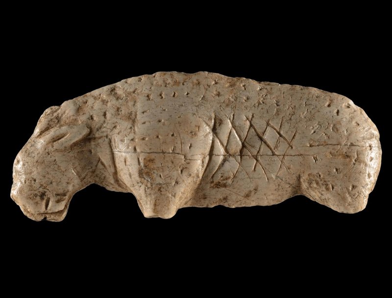 Prehistoric Antler Carving From Magdalenian Culture