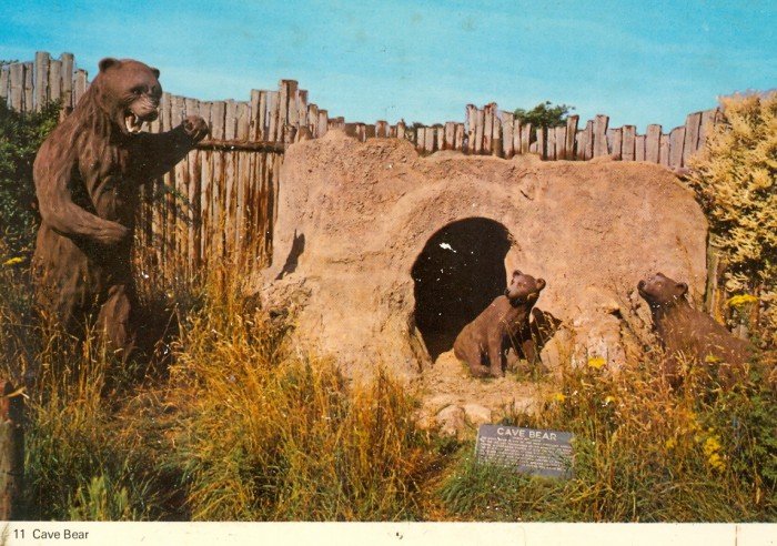 Prehistoric Bear Skull Shrine
