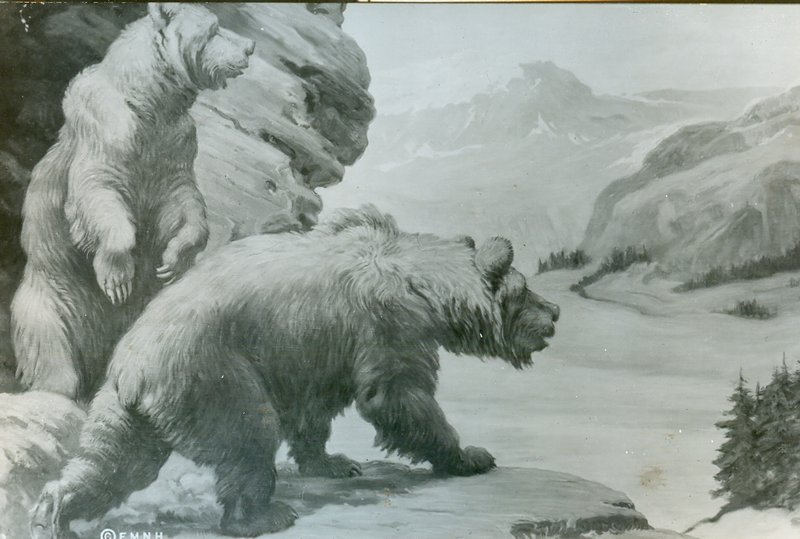 Prehistoric Bear Skull Shrine