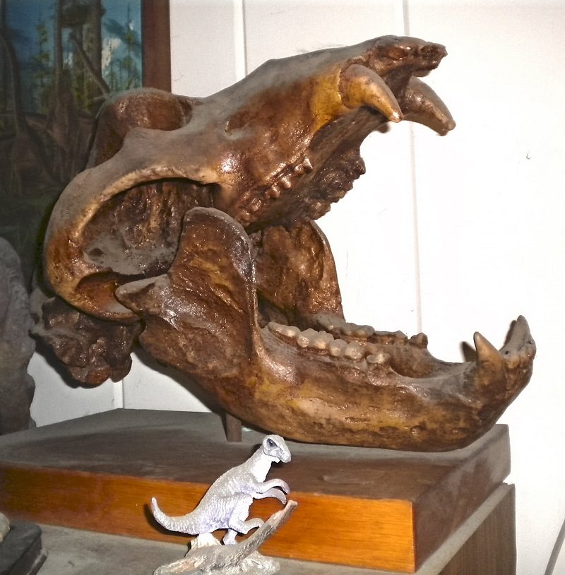 Prehistoric Bear Skull Shrine