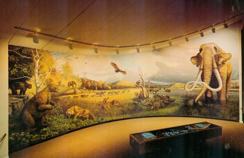 Prehistoric Bear Skull Shrine