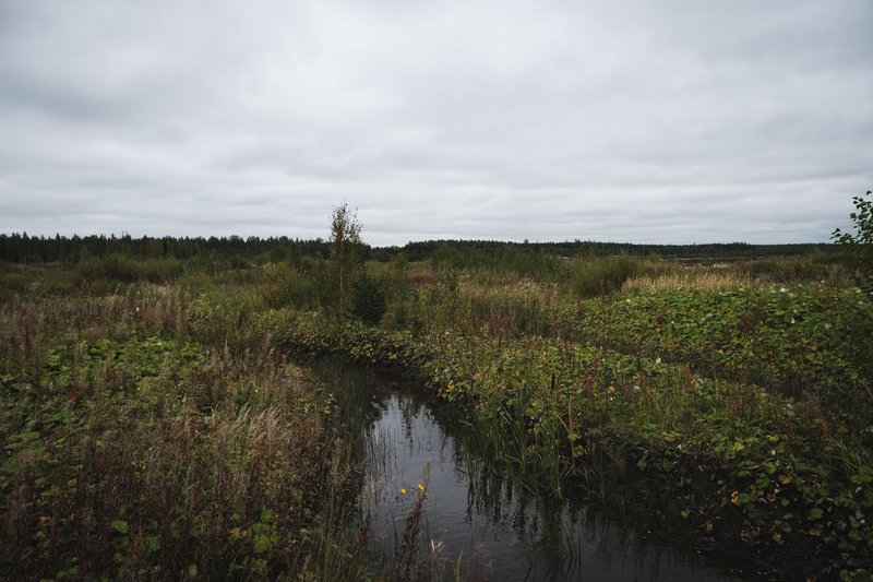 Prehistoric Bog Offerings In Denmark