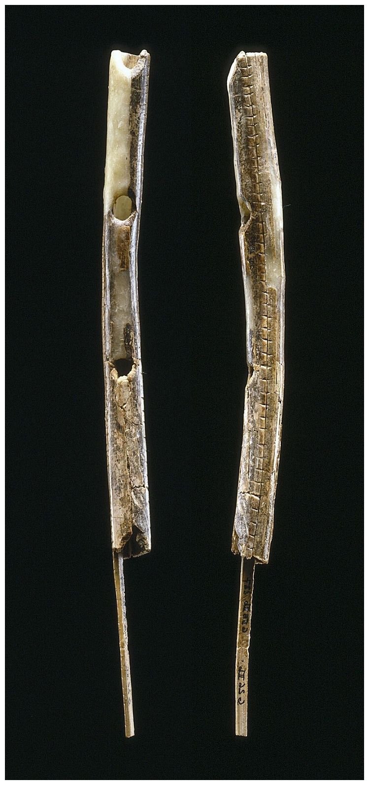 Prehistoric Bone Flute Artifacts