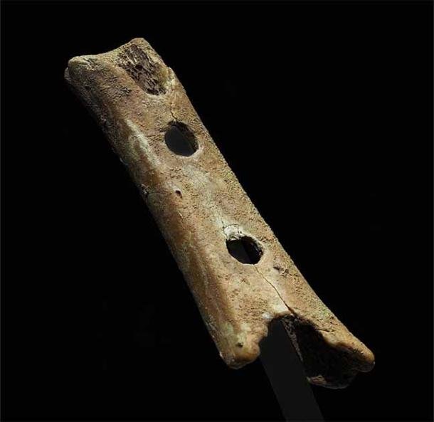 Prehistoric Bone Flute Artifacts