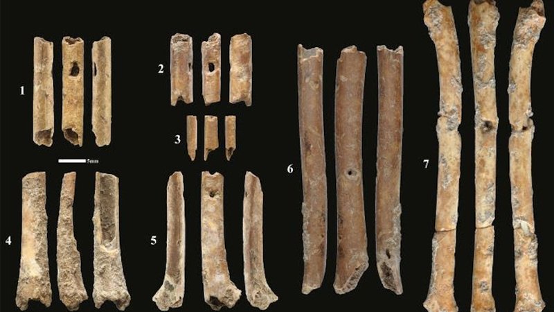 Prehistoric Bone Flute Artifacts<span class=