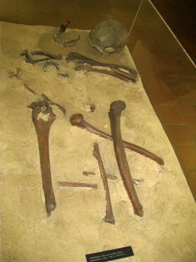 Prehistoric Burial Site In Dolní Věstonice