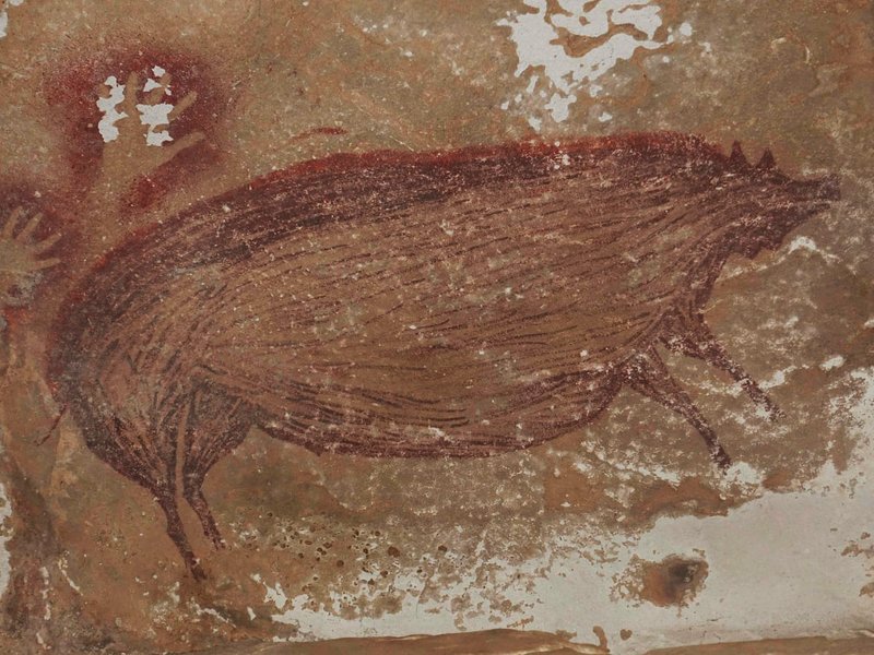 Prehistoric Cave Art From Sulawesi