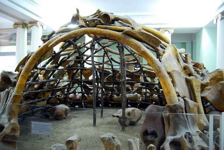 Prehistoric Mammoth Bone Dwelling