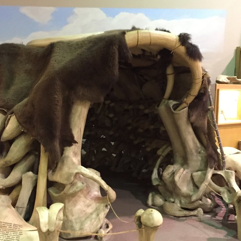 Prehistoric Mammoth Bone Dwelling