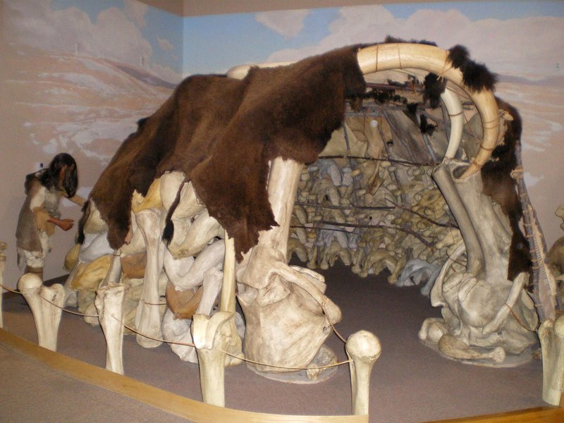 Prehistoric Mammoth Bone Dwelling