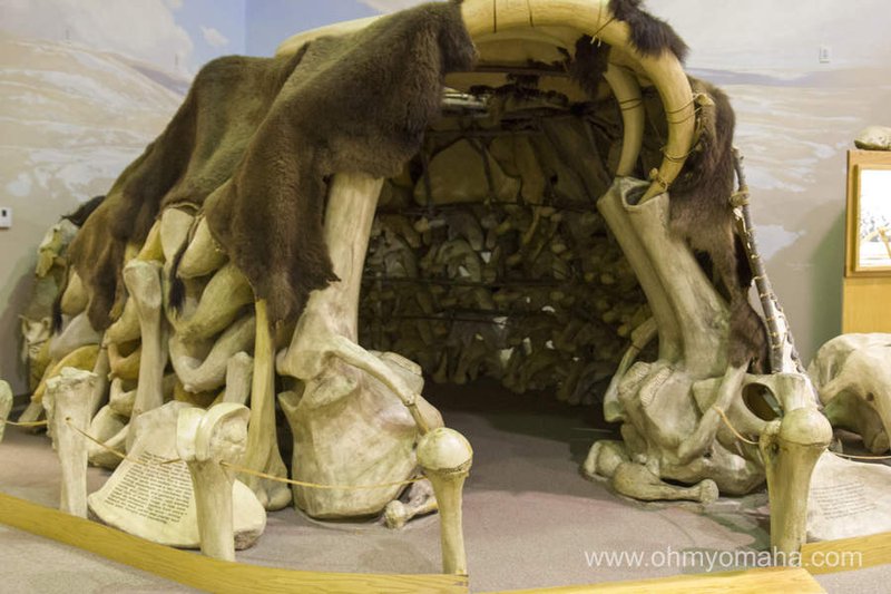 Prehistoric Mammoth Bone Dwelling