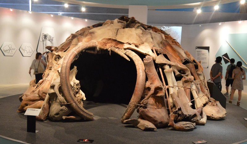 Prehistoric Mammoth Bone Dwelling