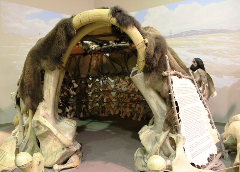 Prehistoric Mammoth Bone Dwelling