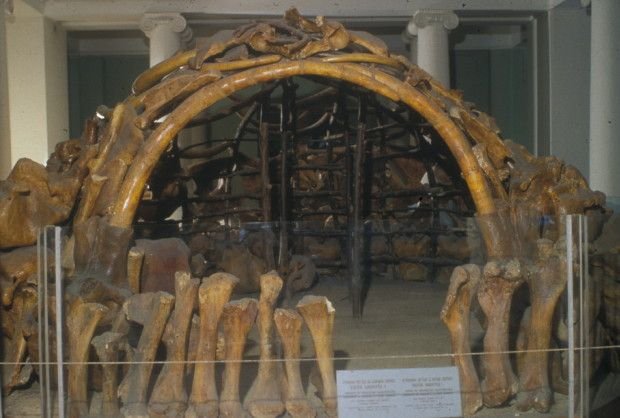 Prehistoric Mammoth Bone Dwelling