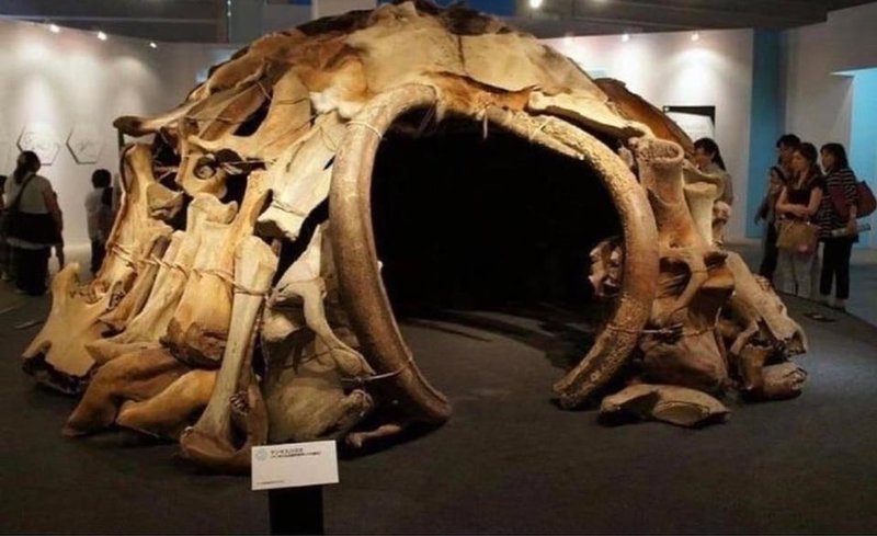 Prehistoric Mammoth Bone Dwelling