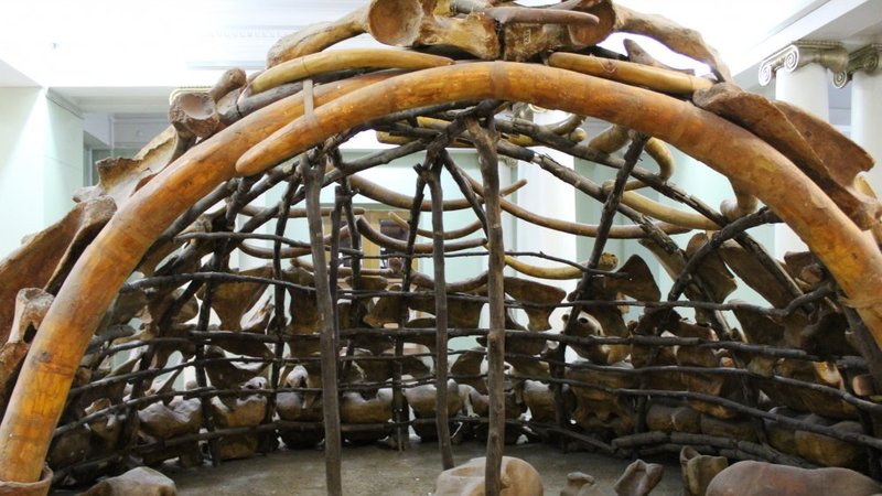 Prehistoric Mammoth Bone Dwelling