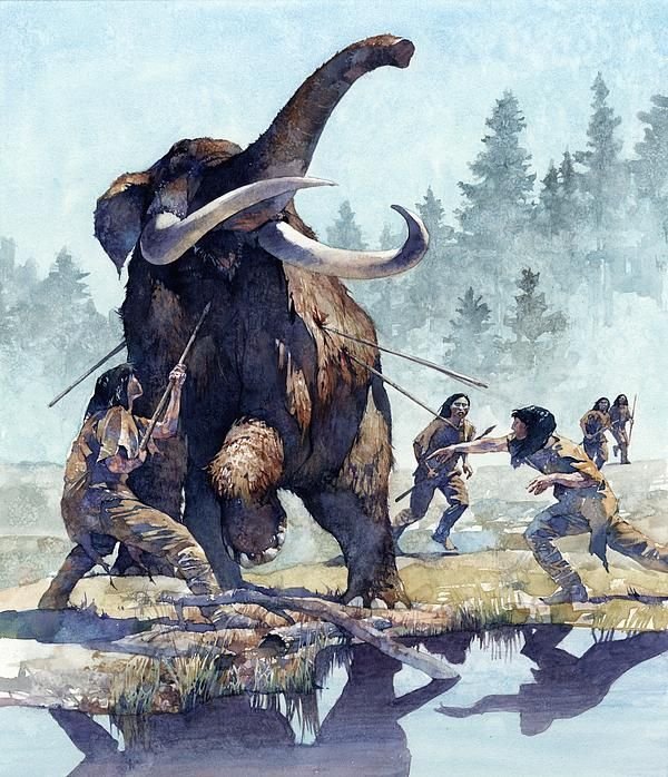 Prehistoric Mastodon Kill Site