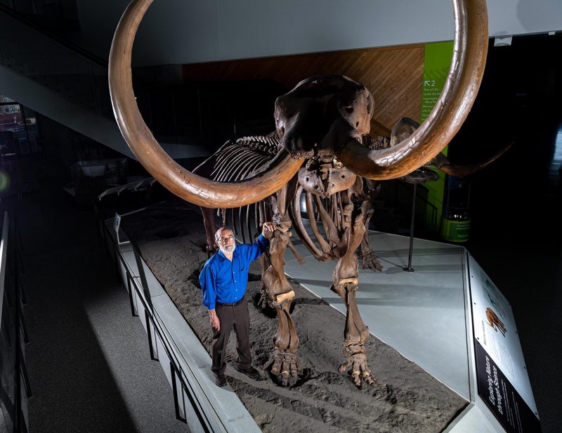 Prehistoric Mastodon Kill Site