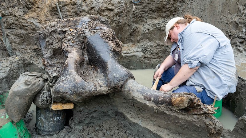 Prehistoric Mastodon Kill Site