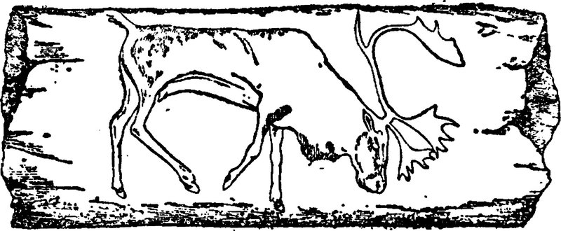 Prehistoric Reindeer Carvings In France