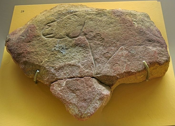 Prehistoric Reindeer Carvings In France