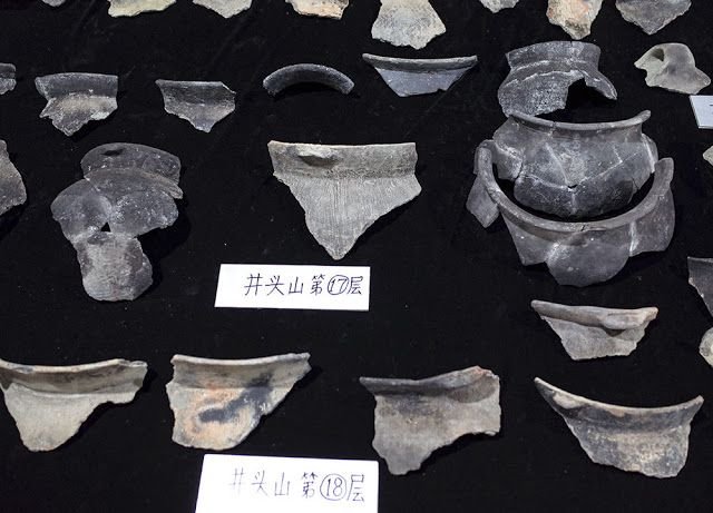 Prehistoric Shell Mound Excavation