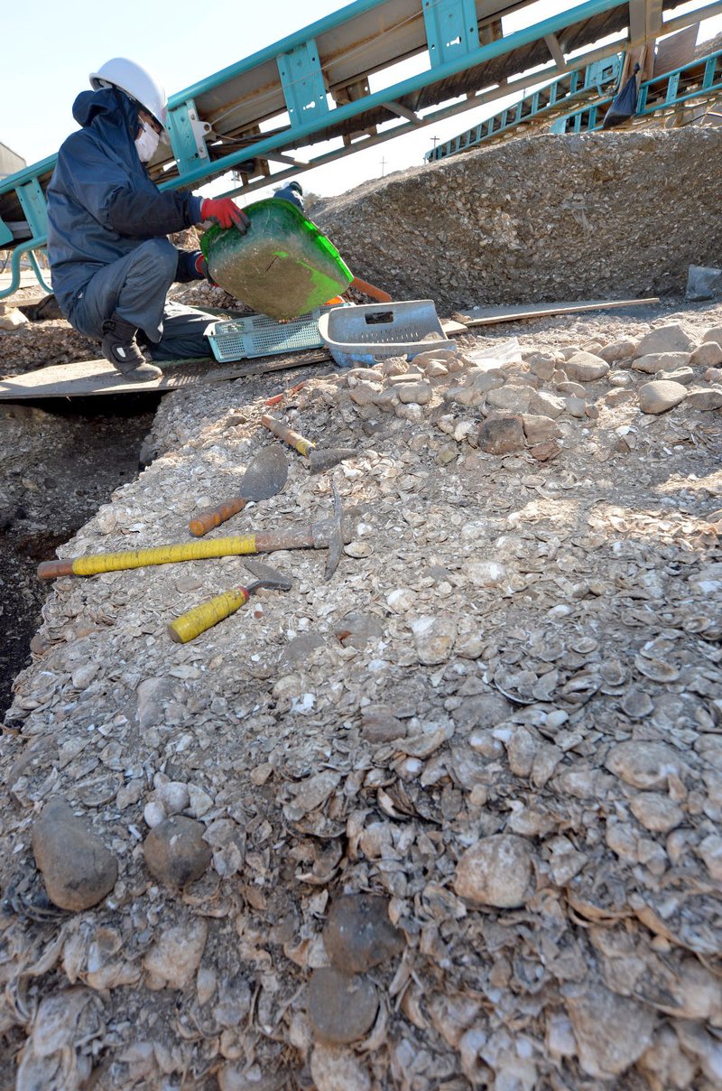 Prehistoric Shell Mound Excavation