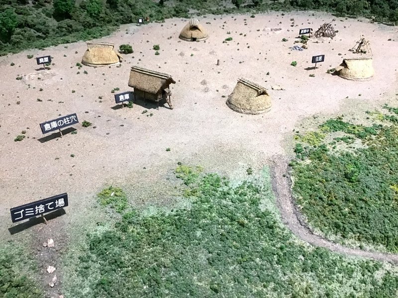 Prehistoric Shell Mound Excavation