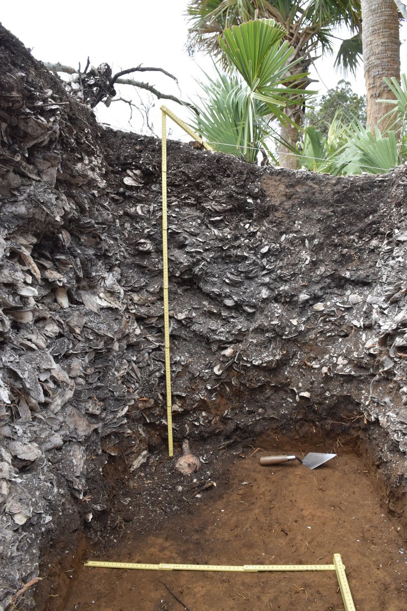 Prehistoric Shell Mound Excavation