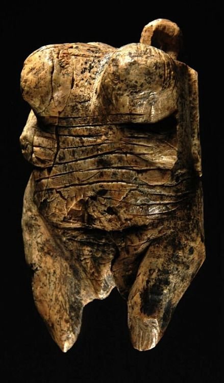 Prehistoric Venus Figurines From Central Europe<span class=