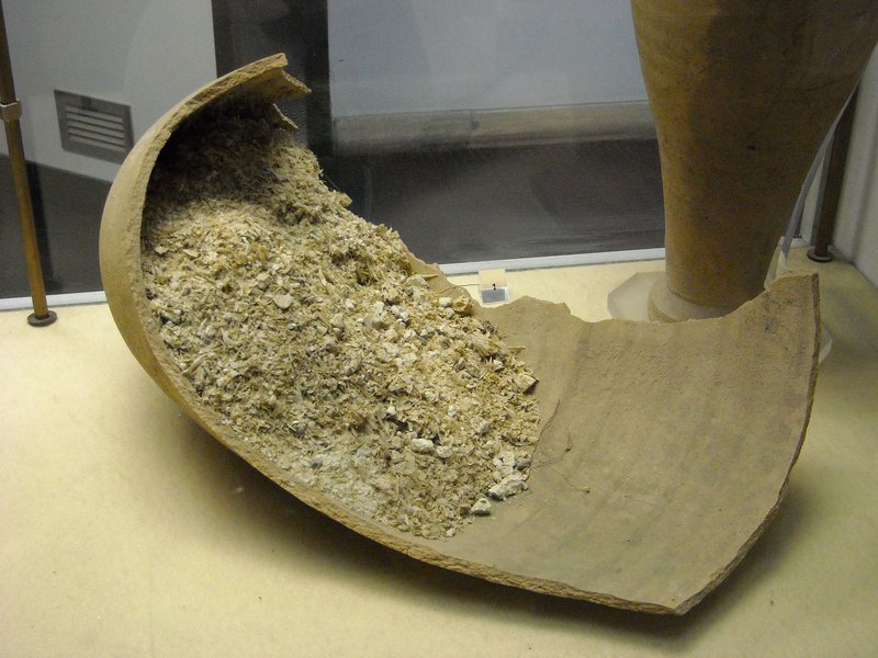 Roman Fish Sauce (Garum) Amphora