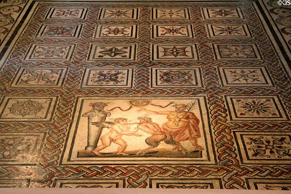Roman Floor Mosaic Of Mythological Scenes
