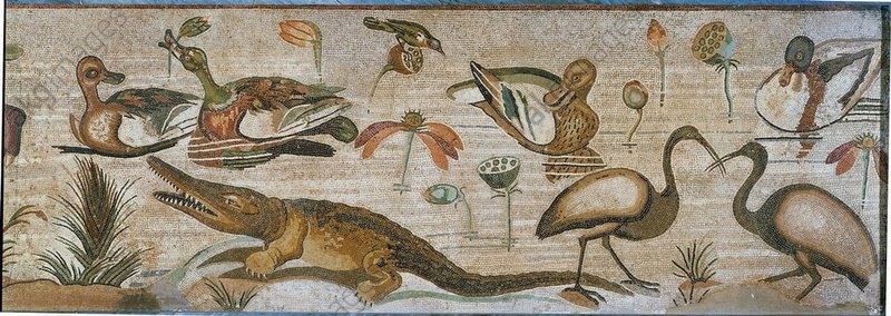 Roman Mosaic Depicting Sea Creatures